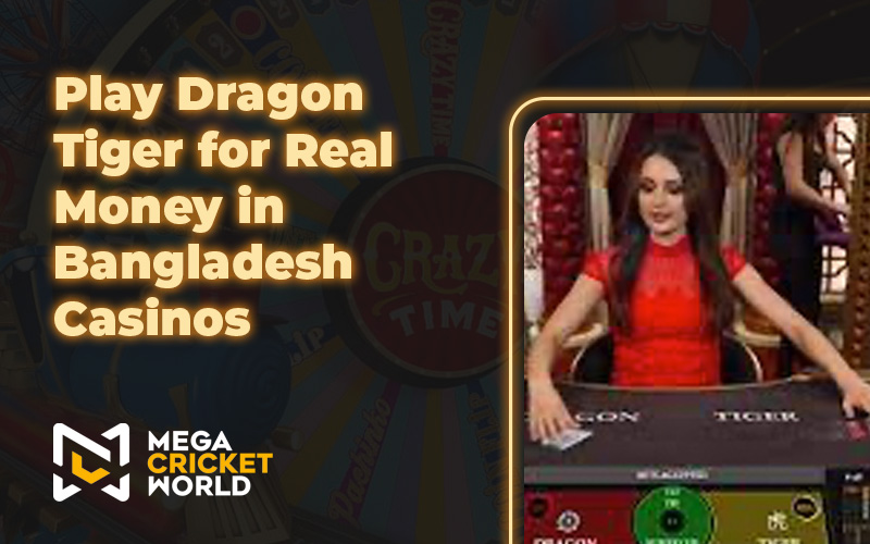 Play Dragon Tiger for Real Money in Bangladesh Casinos