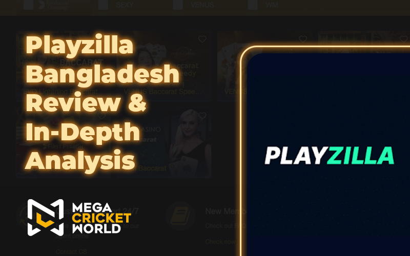 Playzilla Bangladesh Review & In-Depth Analysis