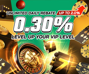 0.3% Unlimited Daily Rebate + up to 2% more for VIP players